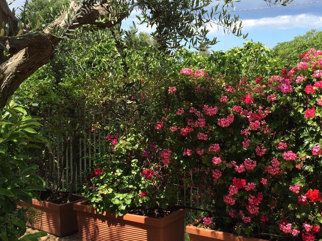 Amoredimare B&B In Villa Polignano a Mare Exterior foto