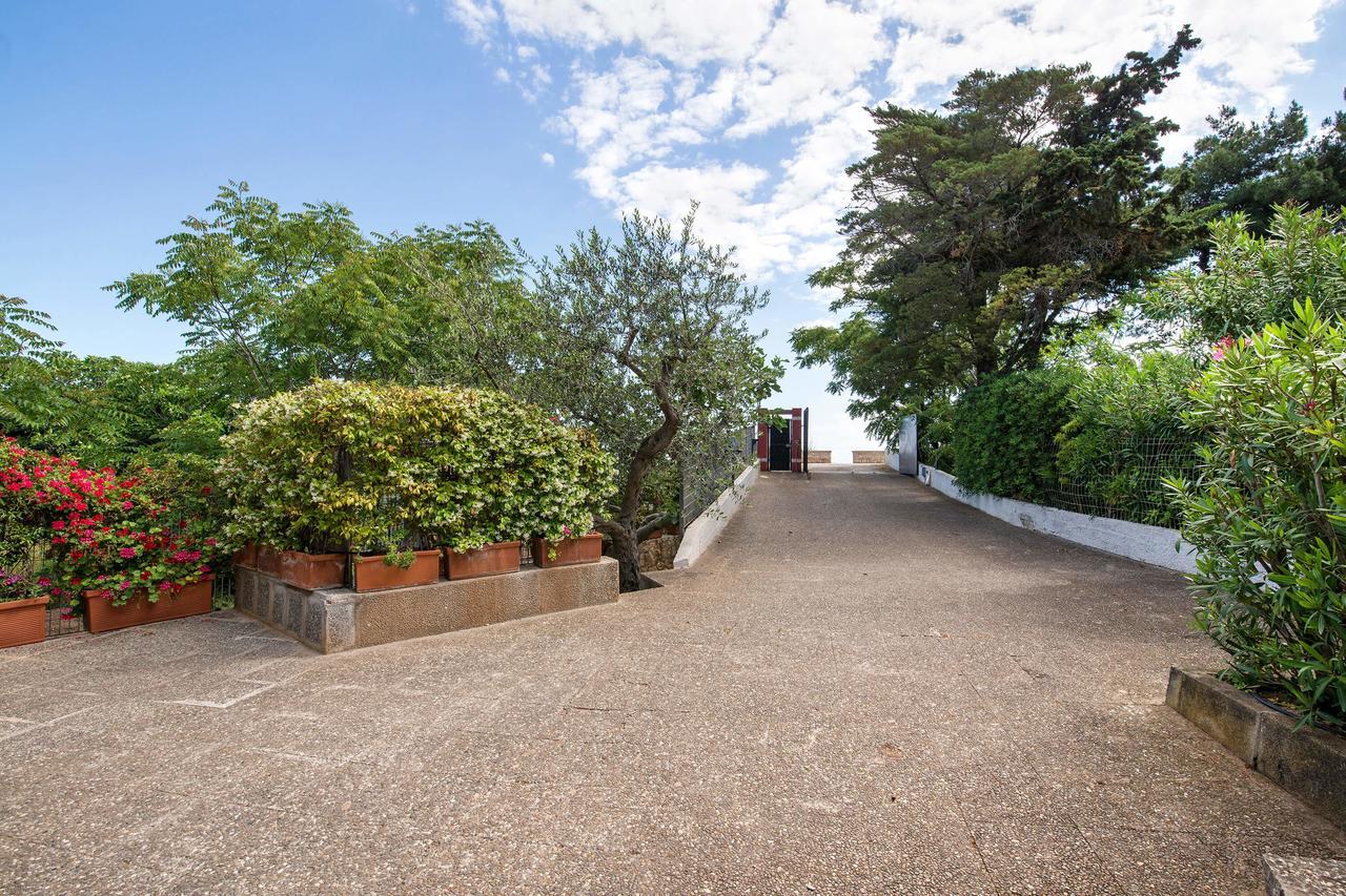 Amoredimare B&B In Villa Polignano a Mare Exterior foto